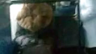 Encantadoramente gos ...