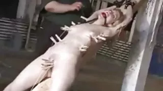 Feiticeira arrumada  ...