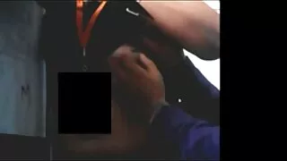 Esta sexo selvagem v ...