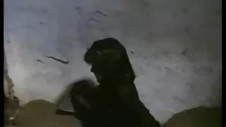 Linda garota de meia ...