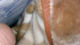 Morena safada dá um  ...