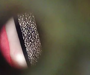 Slim coed chupa o pa ...